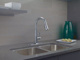 Delta 1-Handle Pull-Down Kitchen Faucet Arctic, Stainless