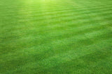 Golfgreen Nitrogrow+ Premium Nitrogen Enriched Sun and Shade Grass Seed with Fertilizer, 14-0-0, 1.2kg