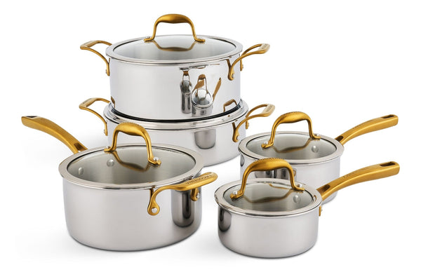 Lagostina Finezza 5-Ply Clad Stainless Steel Cookware Set, 10-pc C3