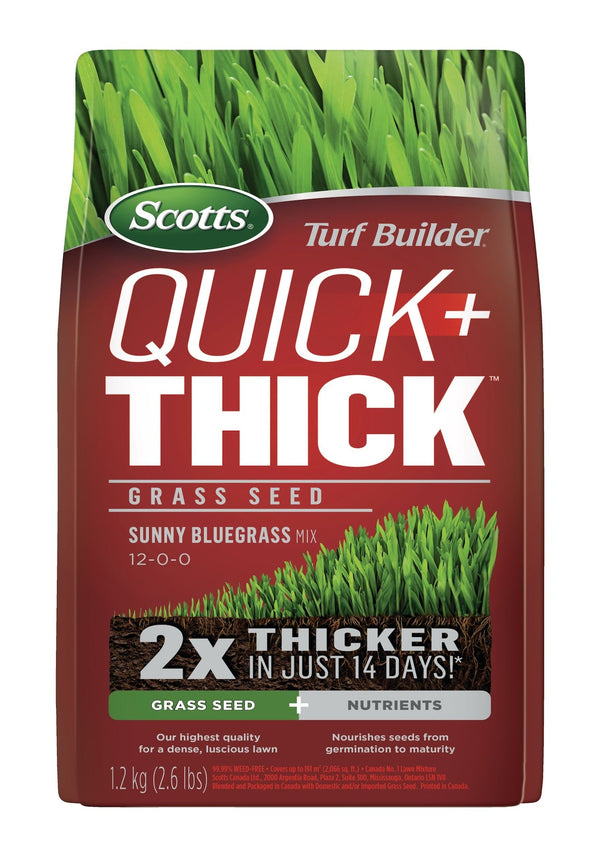 Scotts Turf Builder Quick + Thick Grass Seed Sunny Bluegrass Mix, 12-0-0, 1.2-kg Y3